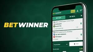 Assessing the Reliability of BetWinner A Comprehensive Guide