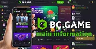 Exploring the BC.Game Platform in Japan The Future of Online Gambling
