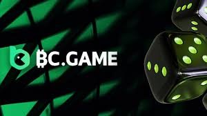 Step-by-Step Guide to the BC.Game Login Process