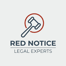 Understanding the Role of Interpol Lawyers 1343716754