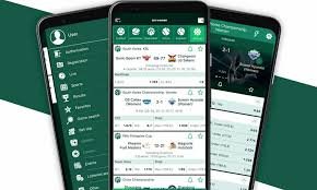 BetWinner A Comprehensive Guide for Bettors in Burkina Faso
