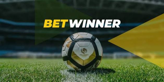 Discover Excitement at BetWinner Casino and Sportsbook