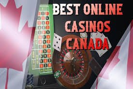 Discover the Top Online Experiences A Guide to the Best Online Platforms Discover the Top Online Experiences A Guide to the Best Online Platforms