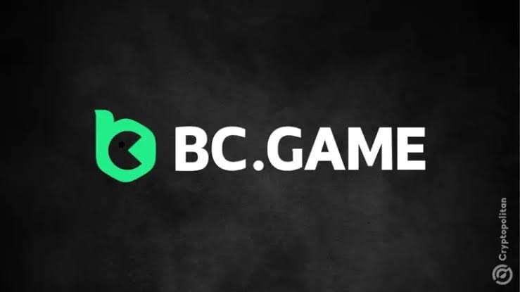 Everything You Need to Know About Playing on BC.Game 902267786