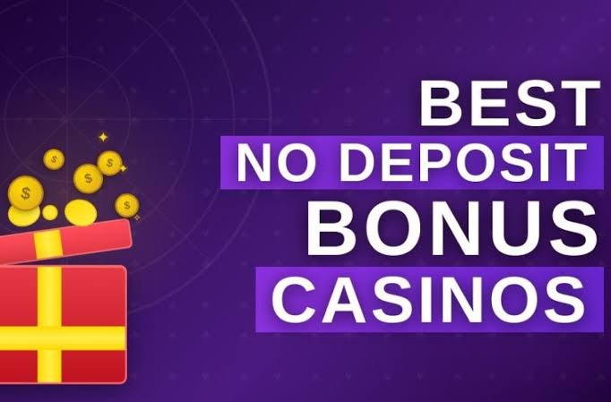 Discover the Best Free Spins No Deposit Bonuses A Guide for Players