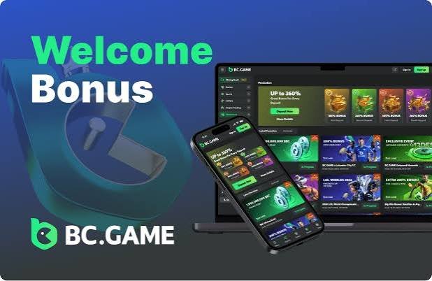 Understanding the BC.Game Mirror Login Process A Step-by-Step Guide